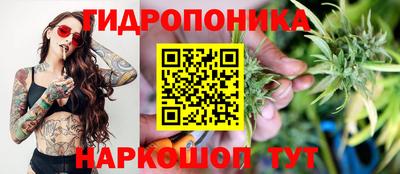 СК Волгодонск