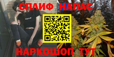 СК Волгодонск