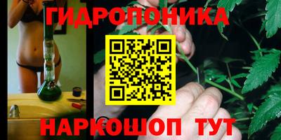 СК Волгодонск
