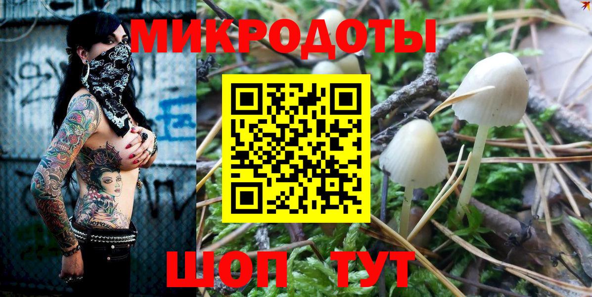 Галлюциногенные грибы Psilocybine cubensis Аргун