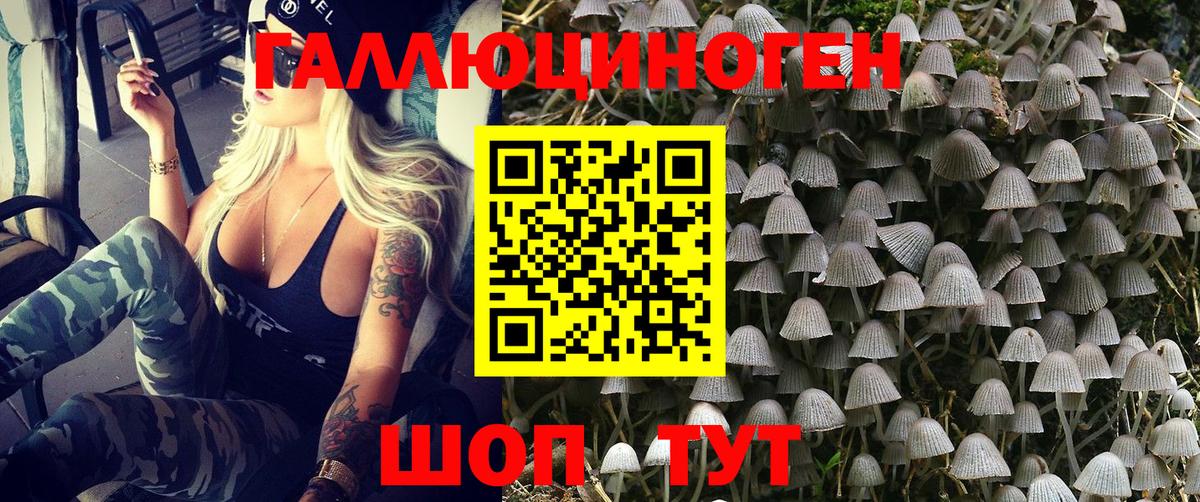 Псилоцибиновые грибы MAGIC MUSHROOMS  Псилоцибиновые грибы прущие грибы  Аргун  Вход с VPN 
